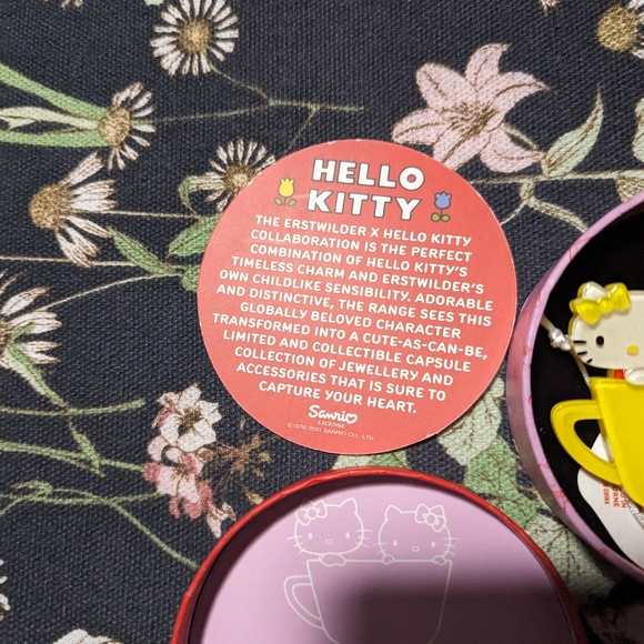 BNWT 2021 Erstwilder x Hello Kitty collab Hello Kitty and Mimmy brooch - Picture 3 of 3